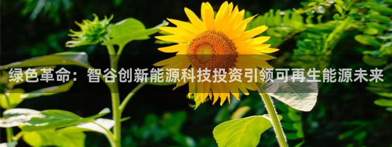 申博手机版官网