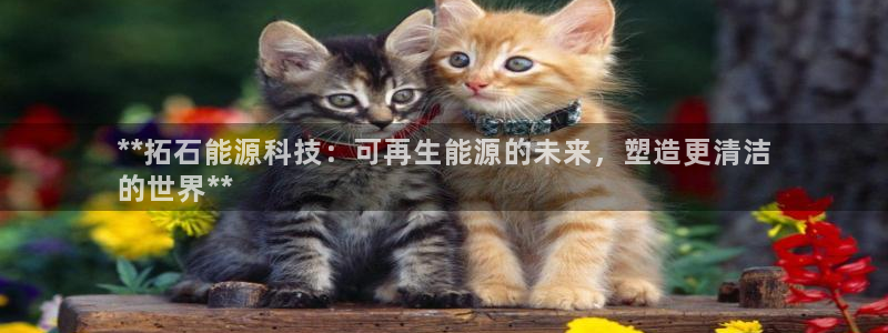 sunbet首页登录入口