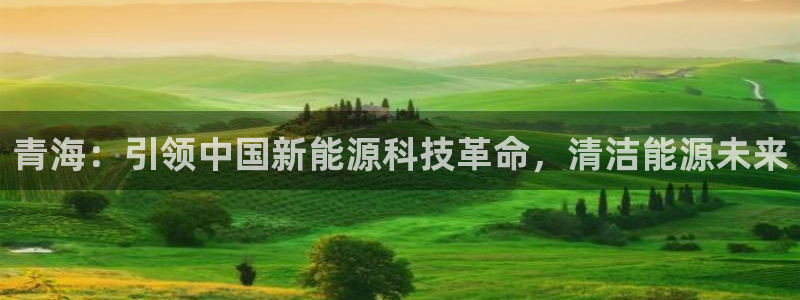 sunbet程序