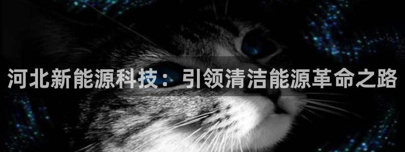 sunbet申搏平台
