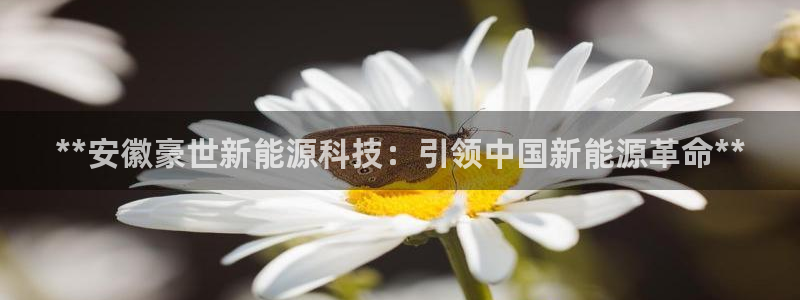 sunbet官网手机版