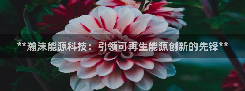 sunbet手机网页版本