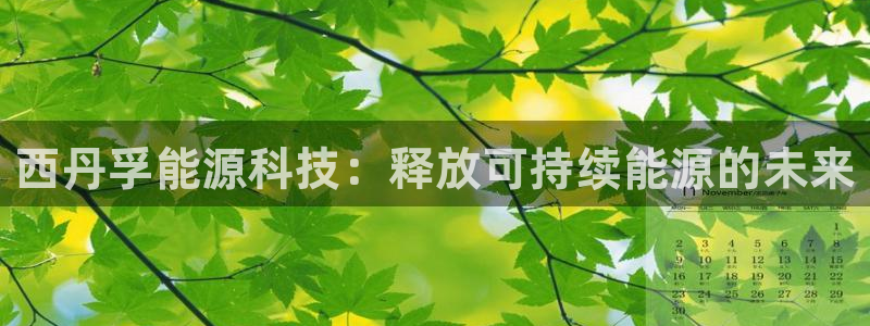 sunbet手机网页版本