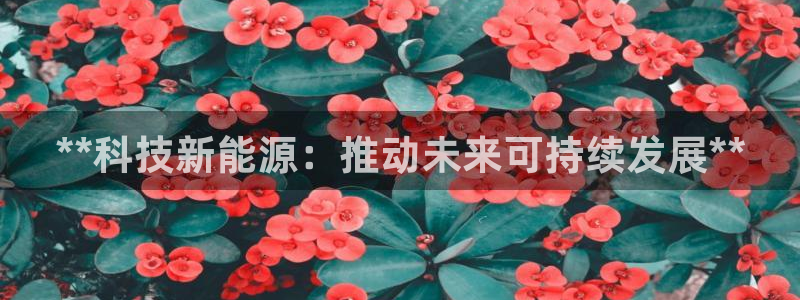 sunbet手机网页版下载