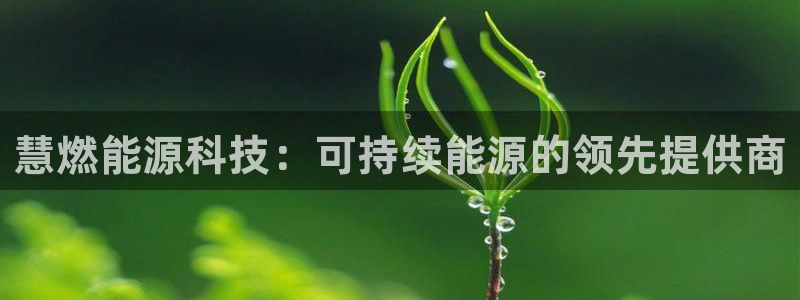 sunbet官网app首页