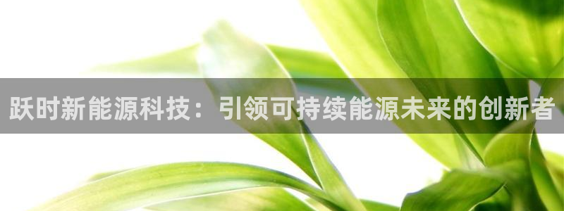 sunbet手机端