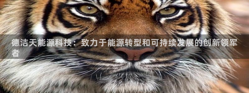 sunbet安卓下载