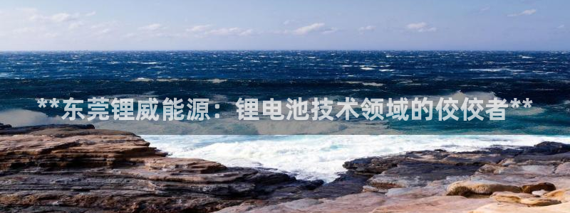申博手机网址