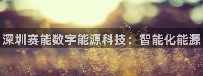 sunbet中文