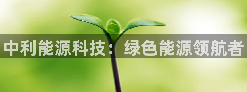 sunbet手机网页版本