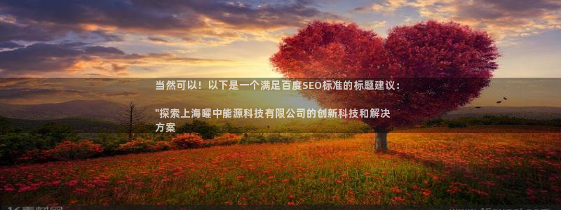 申慱sunbet版app