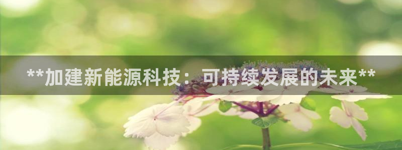sunbet中国官网