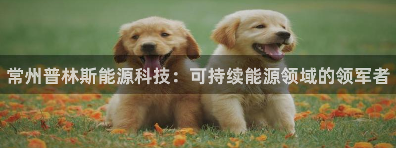 申博app下载