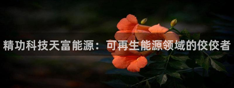 sunbet申搏官方网站
