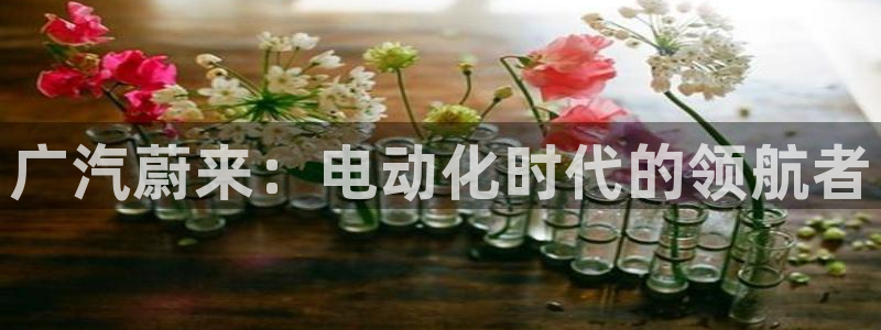申博官方网址