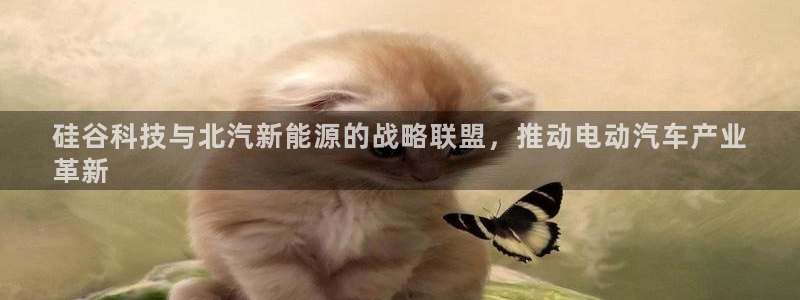 sunbet官网登录首页