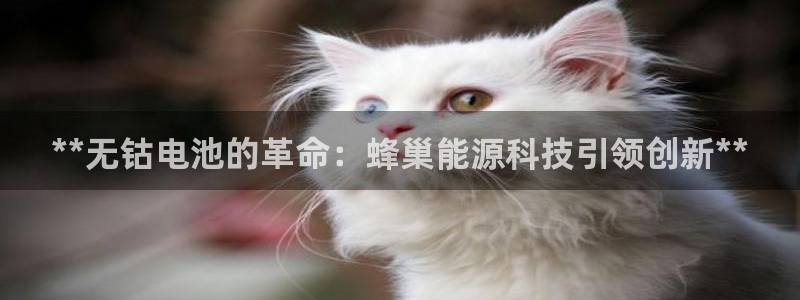 申博手机版app下载