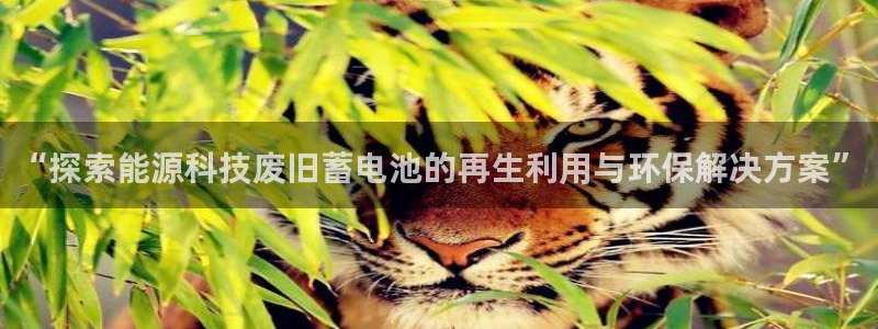 sunbet线上真人手机版