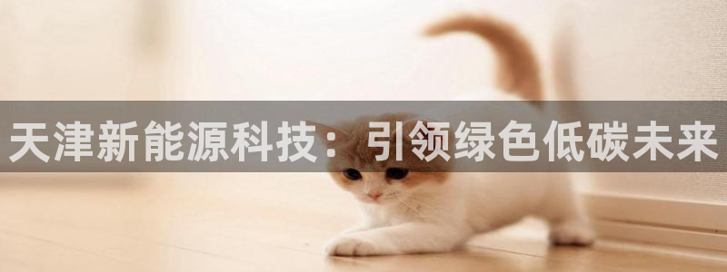 sunbet英语翻译