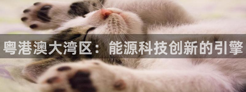 sunbet安卓下载