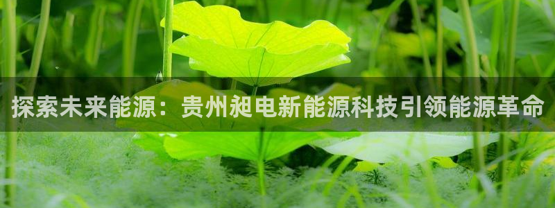 申博官方网站手机版下载