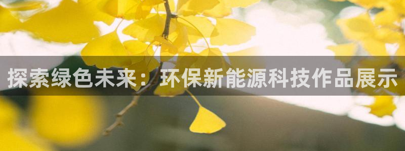 sunbet游戏官网