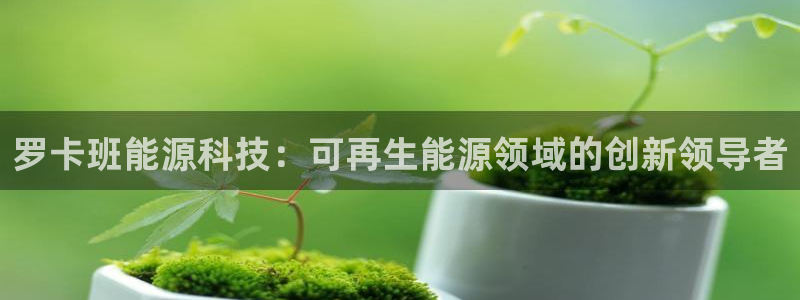 sunbet程序