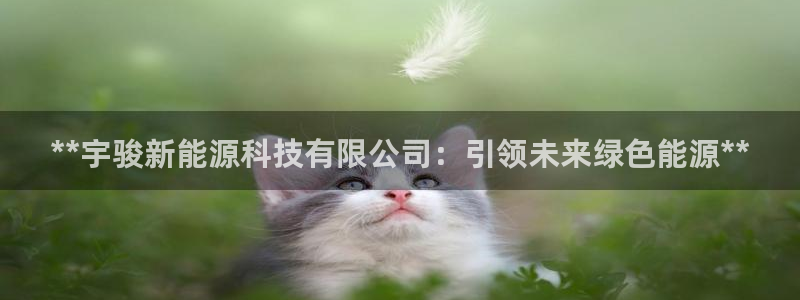 申博官网手机版下载app
