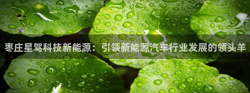 申慱sunbet网站