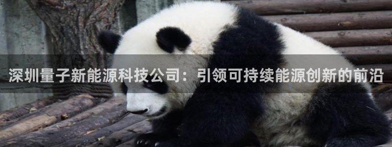 申博官方网站手机版下载
