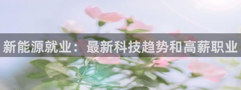 sunbet游戏地址