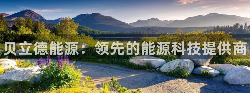 sunbet官网登录首页