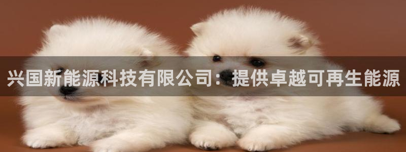 sunbet游戏最新版