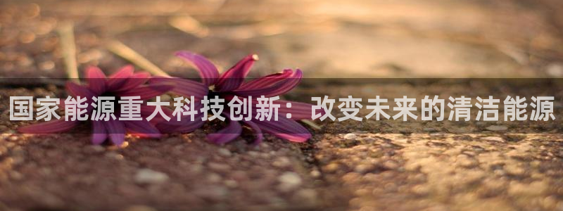 sunbet游戏网