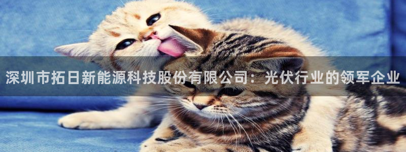 sunbet安卓下载