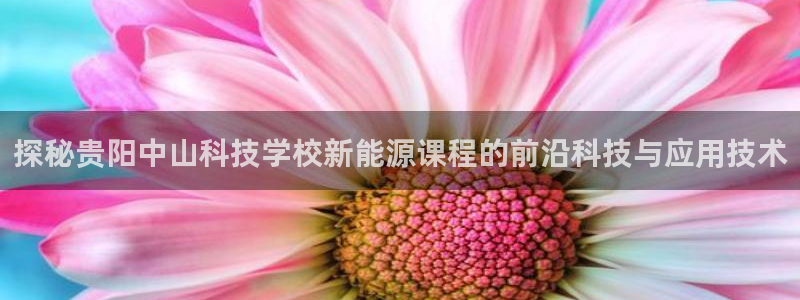 sunbet中文
