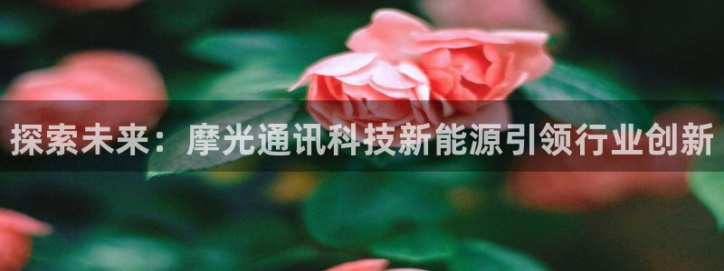 sunbet程序