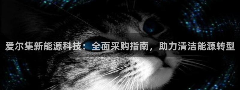 sunbet手机端