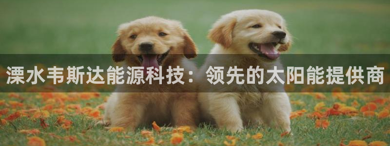 sunbet游戏地址
