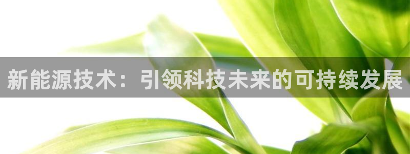 申慱sunbet网站