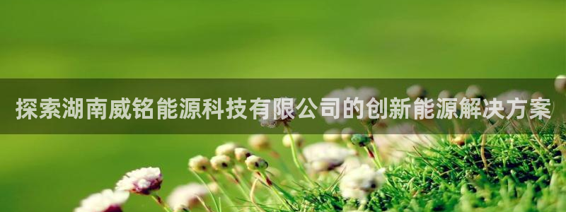 sunbet线上真人手机版