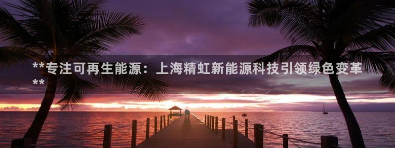 sunbet首页登录入口
