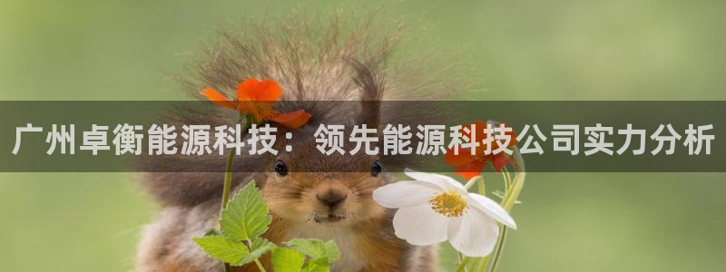 sunbet申搏app下载