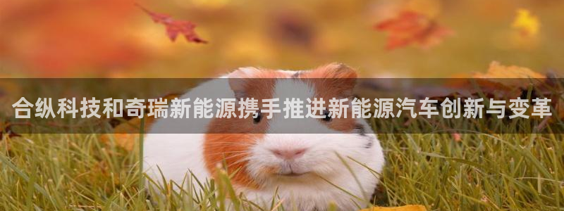 sunbet首页登录入口