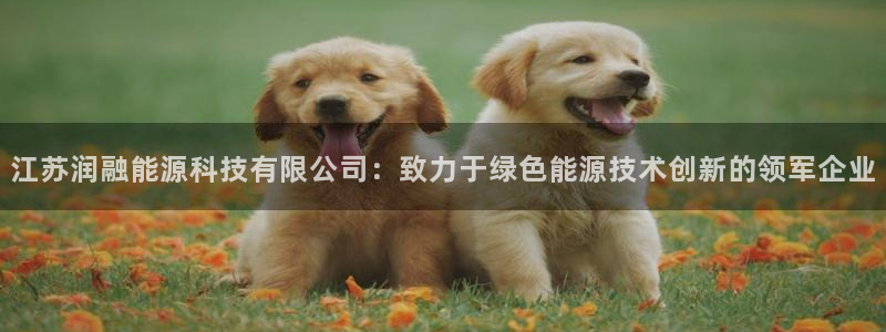 下载申搏sunbet并安装app