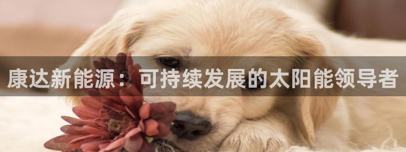 sunbet安卓下载