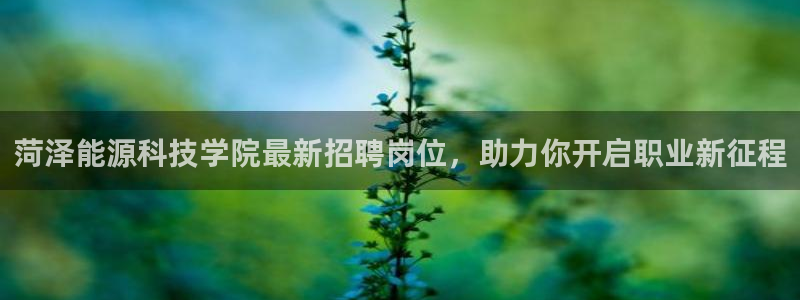 sunbet英语翻译